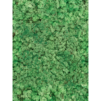 Rendiermos Grass Green (balení pro ca. 0,45 m²)