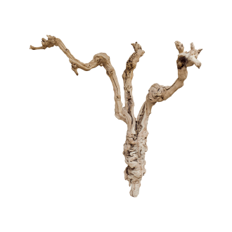 Grapewood sandblasted (90cm)