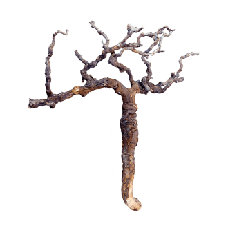 Grapewood brown chunky (120cm)