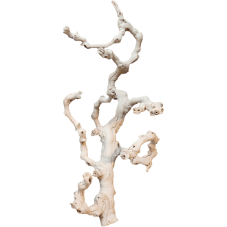 Grapewood sandblasted branchy (60cm)