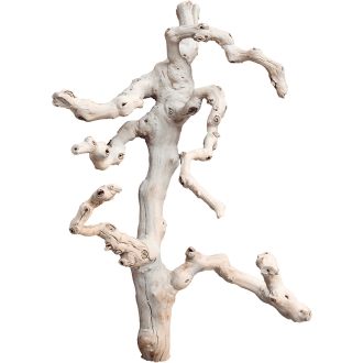 Grapewood sandblasted branchy (45cm)