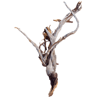 Ghostwood raw (75cm)