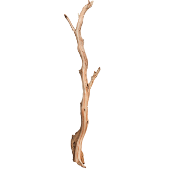 Ghostwood sandblasted log (15x100cm)