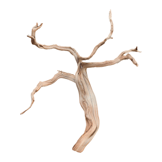 Ghostwood sandblasted branchy (40cm)