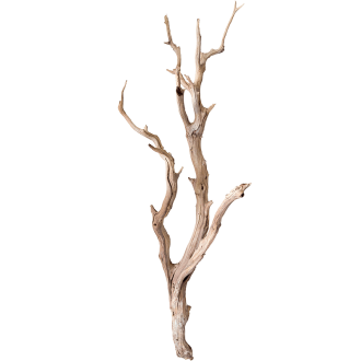 Ghostwood sandblasted (150cm)