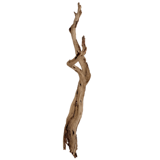 Ghostwood sandblasted (125cm)