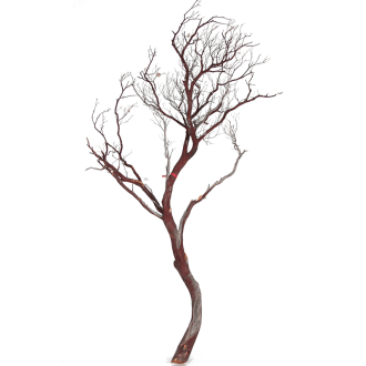 Manzanita brown (180cm)