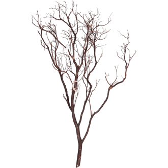 Manzanita brown (120cm)