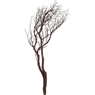Manzanita brown (90cm)