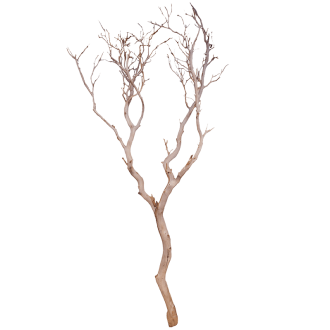 Manzanita sandblasted (240cm)