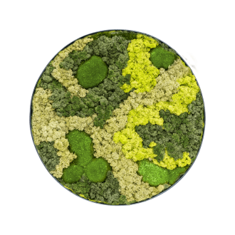 Mechový obraz Nova rám antracit 30% Ball moss 70% lišejník moss (Mix) (70x5cm)