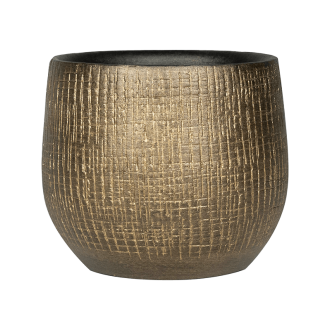 Ryan  Shiny Gold (15x13cm)