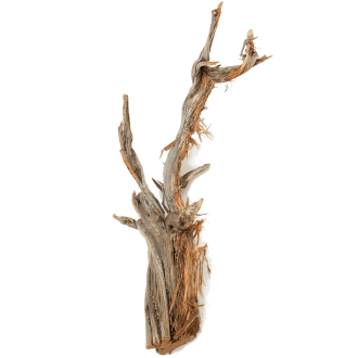 Ghostwood raw (120cm)