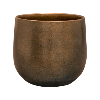 Esra  Champagne Bronze (18x16cm)