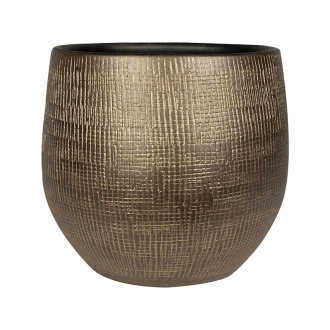 Ryan  Shiny Gold (36x32cm)