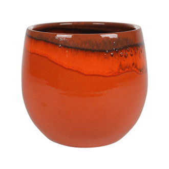 Charlotte  Orange Orange (33x28cm)