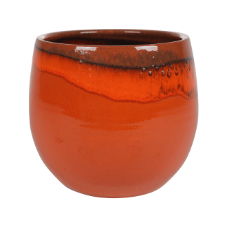 Charlotte  Orange Orange (29x26cm)