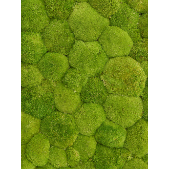 Bolmos Light green (balení pro = ca. 0,7 m²)