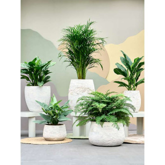 Algar Barrel White (41x33cm)