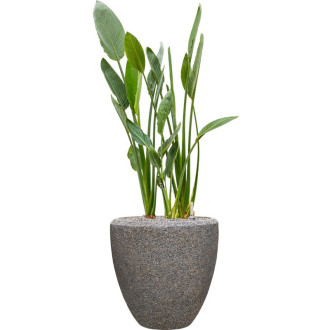 Naturescast Couple šedý (65x65cm)