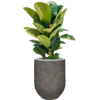 Naturescast Couple šedý s vložkou (32x40cm)