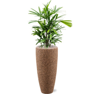 Naturescast Partner hnědý s vložkou (30x70cm)