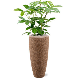 Naturescast Partner hnědý s vložkou (37x90cm)