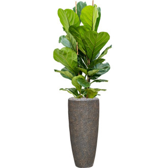 Naturescast Partner šedý s vložkou (30x70cm)