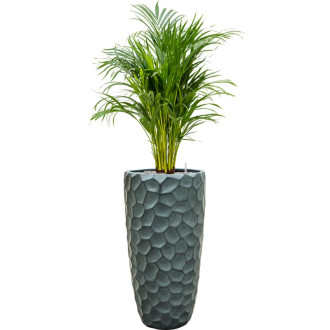 Tortuga Partner zelený (41x77cm)